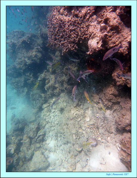 2011 - 03 - Koh Kradan 057